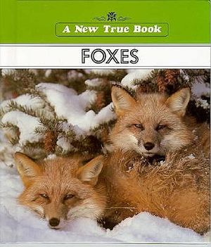 Foxes image number 0