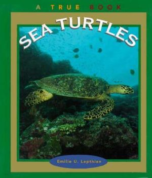 Sea Turtles image number 0