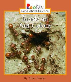 Inside an Ant Colony image number 0
