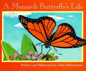 A Monarch Butterfly's Life image number 0