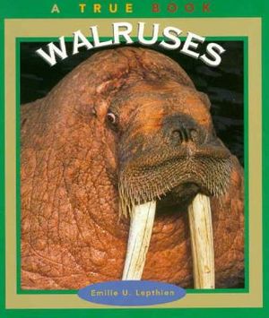 Walruses image number 0