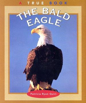 The Bald Eagle image number 0