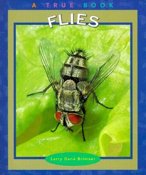 Flies image number 0