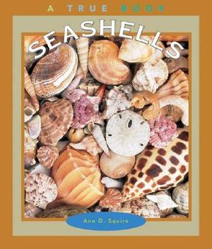 Seashells image number 0