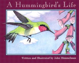 A Hummingbird's Life image number 0