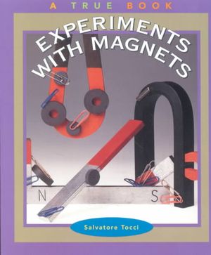 Experiments with Magnets image number 0