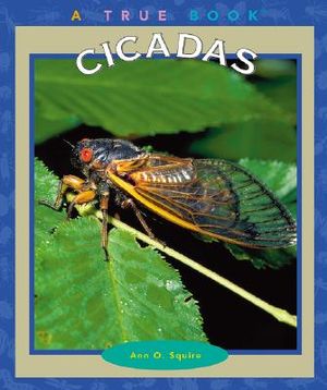 Cicadas image number 0