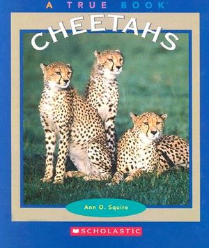Cheetahs image number 0
