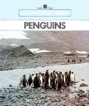 Penguins image number 0