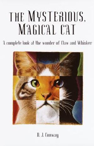 The Mysterious, Magical Cat image number 0