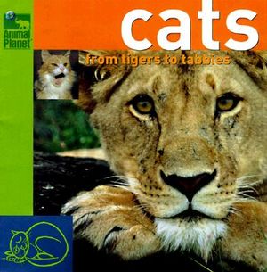 Cats: From Tigers to Tabbys image number 0