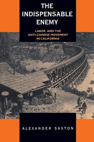 The Indispensable Enemy: Labor and the Anti-Chinese Movement in California image number 0