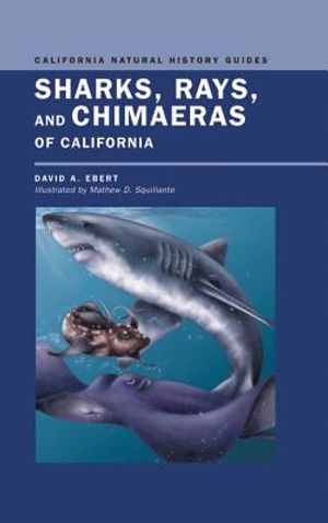 Sharks, Rays, and Chimaeras of California image number 0