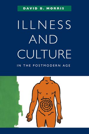 Illness and Culture in the Postmodern Age image number 0