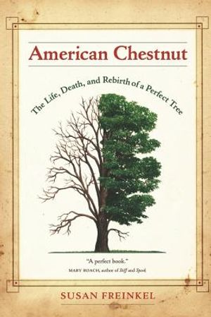 American Chestnut: The Life, Death, and Rebirth of a Perfect Tree image number 0
