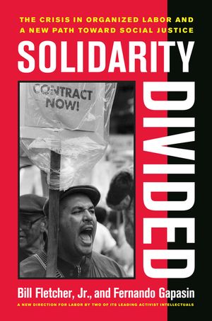 Solidarity Divided: The Crisis in Organized Labor and a New Path Toward Social Justice image number 0