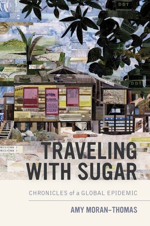 Traveling with Sugar: Chronicles of a Global Epidemic image number 0