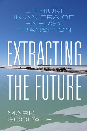 Extracting the Future: Lithium in an Era of Energy Transition image number 0