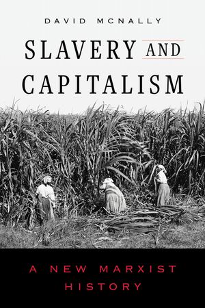 Slavery and Capitalism: A New Marxist History image number 0