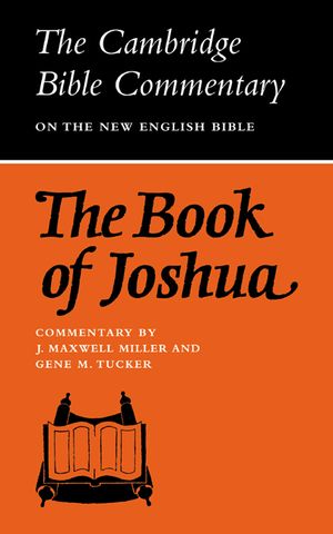 The Book of Joshua image number 0