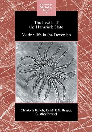 The Fossils of the Hunsr&uuml;ck Slate: Marine Life in the Devonian image number 0
