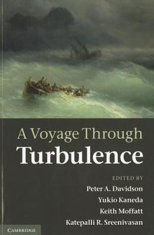A Voyage Through Turbulence image number 0