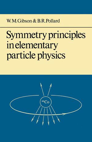 Symmetry Principles Particle Physics image number 0