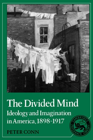 The Divided Mind: Ideology and Imagination in America, 1898-1917 image number 0
