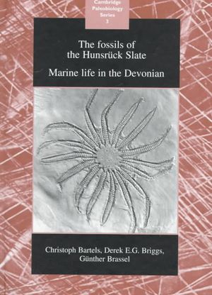 The Fossils of the Hunsr&uuml;ck Slate: Marine Life in the Devonian image number 0