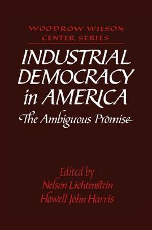 Industrial Democracy in America: The Ambiguous Promise image number 0