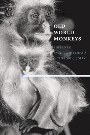 Old World Monkeys image number 0