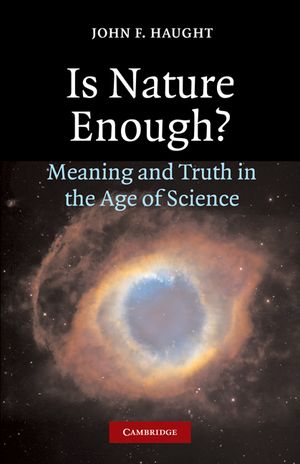Is Nature Enough?: Meaning and Truth in the Age of Science image number 0