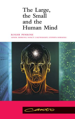 The Large, the Small and the Human Mind image number 0