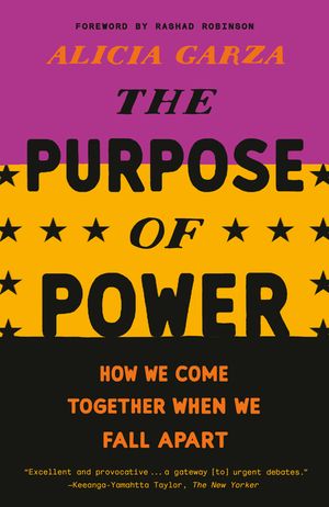 The Purpose of Power: How We Come Together When We Fall Apart image number 0
