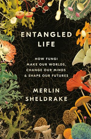 Entangled Life: How Fungi Make Our Worlds, Change Our Minds & Shape Our Futures image number 0