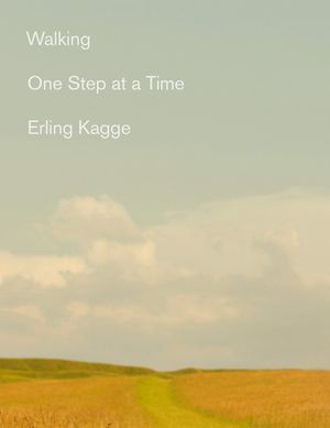 Walking: One Step at a Time image number 0