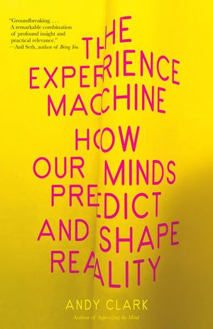 The Experience Machine: How Our Minds Predict and Shape Reality image number 0