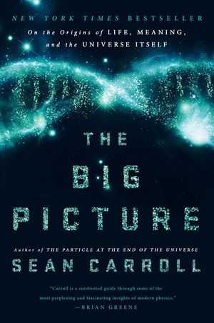 The Big Picture: On the Origins of Life, Meaning, and the Universe Itself image number 0