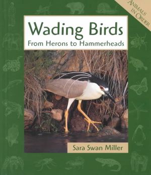 Wading Birds image number 0