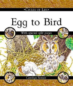 Egg to Bird image number 0