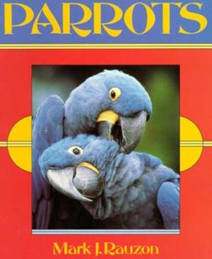 Parrots image number 0