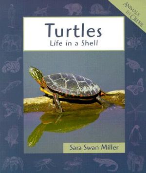 Turtles image number 0