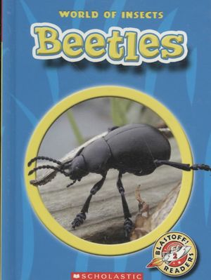 World of Insects Beetles image number 0