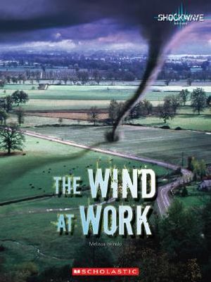 The Wind at Work image number 0
