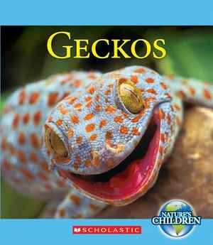Geckos image number 0