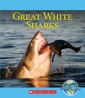 Great White Sharks image number 0