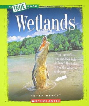 Wetlands image number 0
