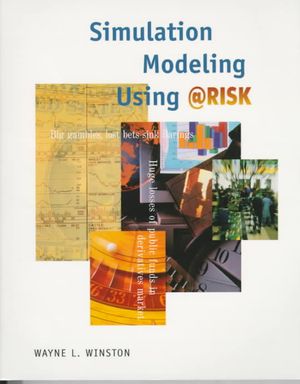 Simulation Modeling Using  Risk image number 0