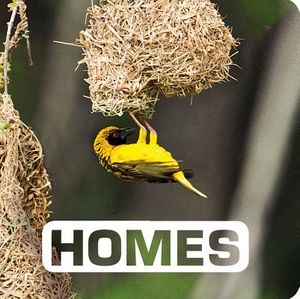 Homes image number 0