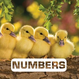 Numbers image number 0